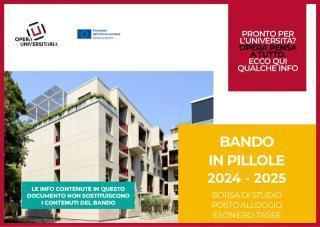 bando in pillole 2024 2025 copertina page 0001